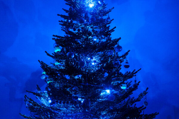 YS_HP_1200x1800px_Weihnachtsbaum_2_web